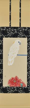 「瑠璃目太白鸚鵡」　軸装　画寸69×34㎝　和紙、水干、岩絵具